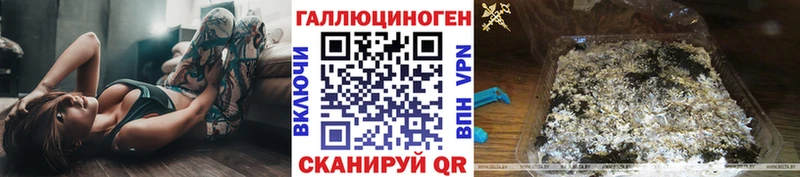 Купить где  Верхняя Тура  Псилоцибиновые грибы Psilocybine cubensis 